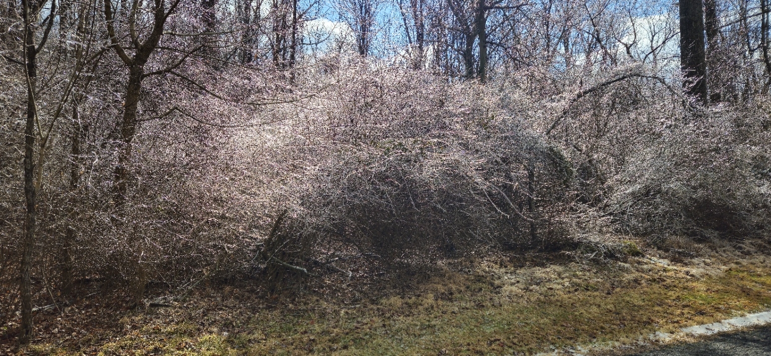 20250210_113411.jpg