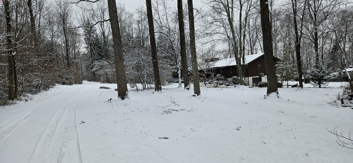 20250212_113241.jpg
