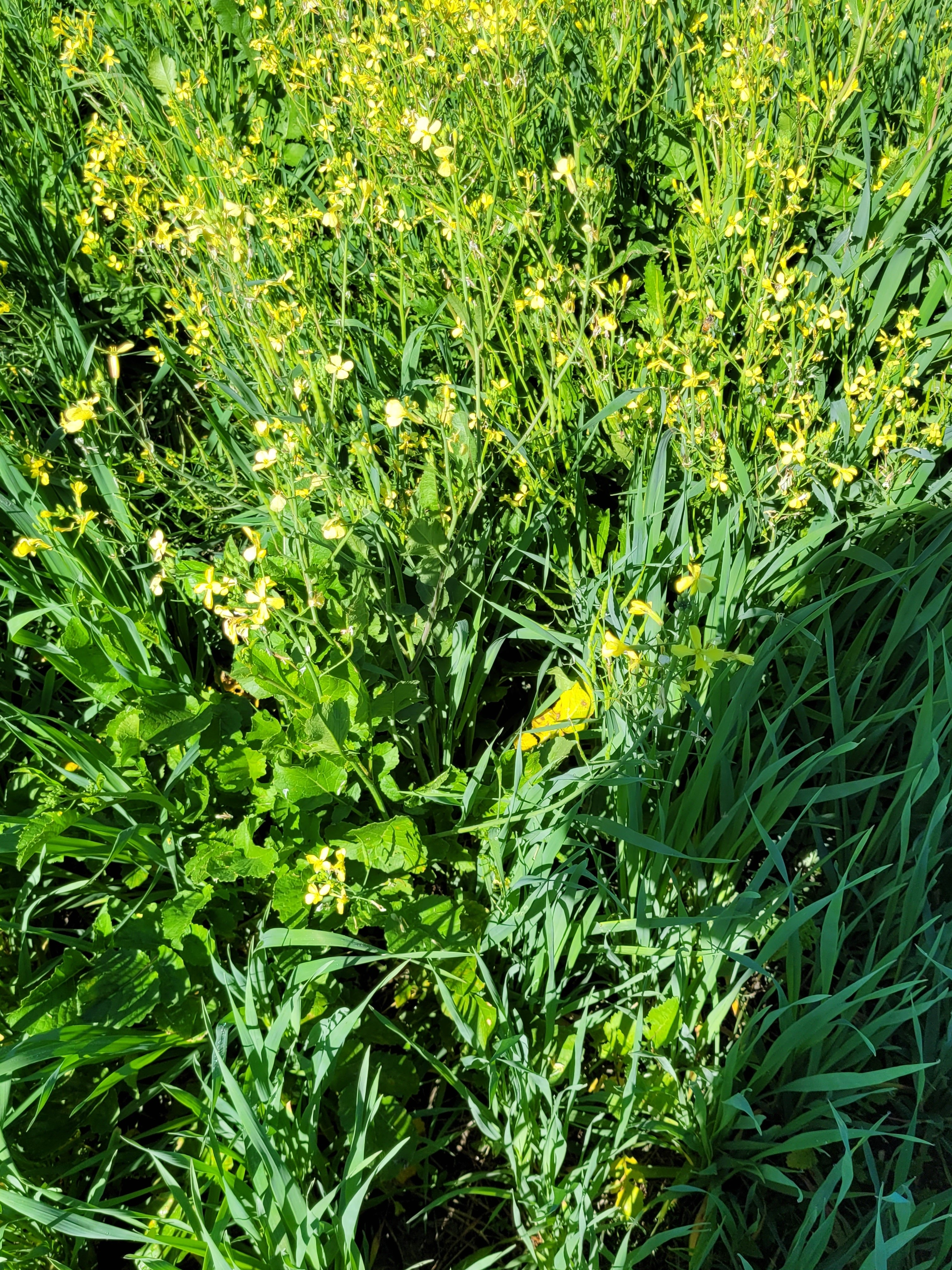 20250228_104331.jpg