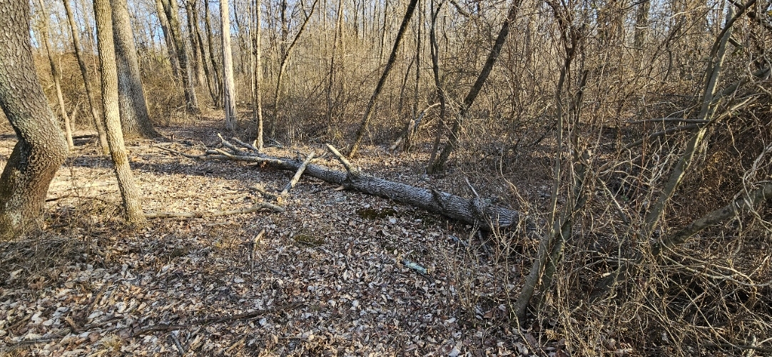 20250311_172143.jpg