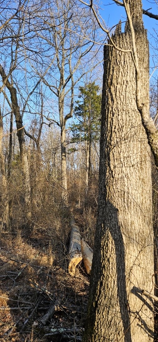 20250311_173458.jpg