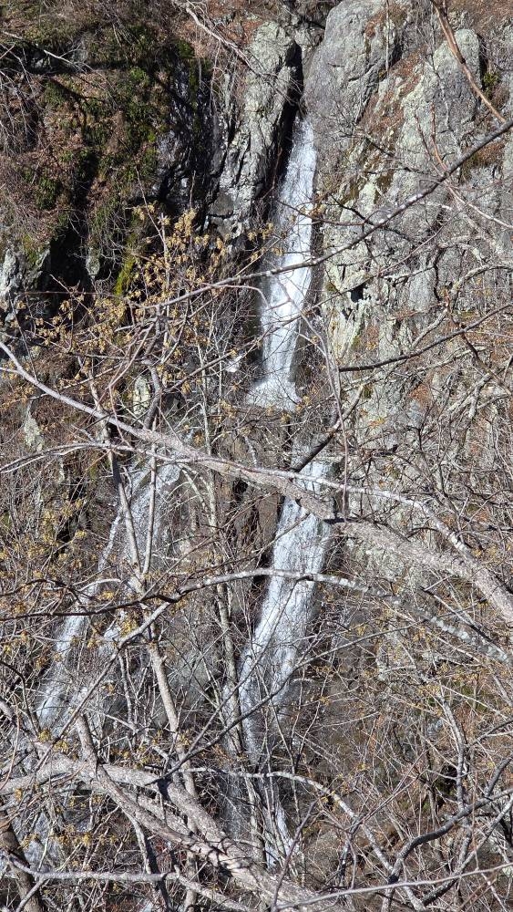 20250318_110219.jpg