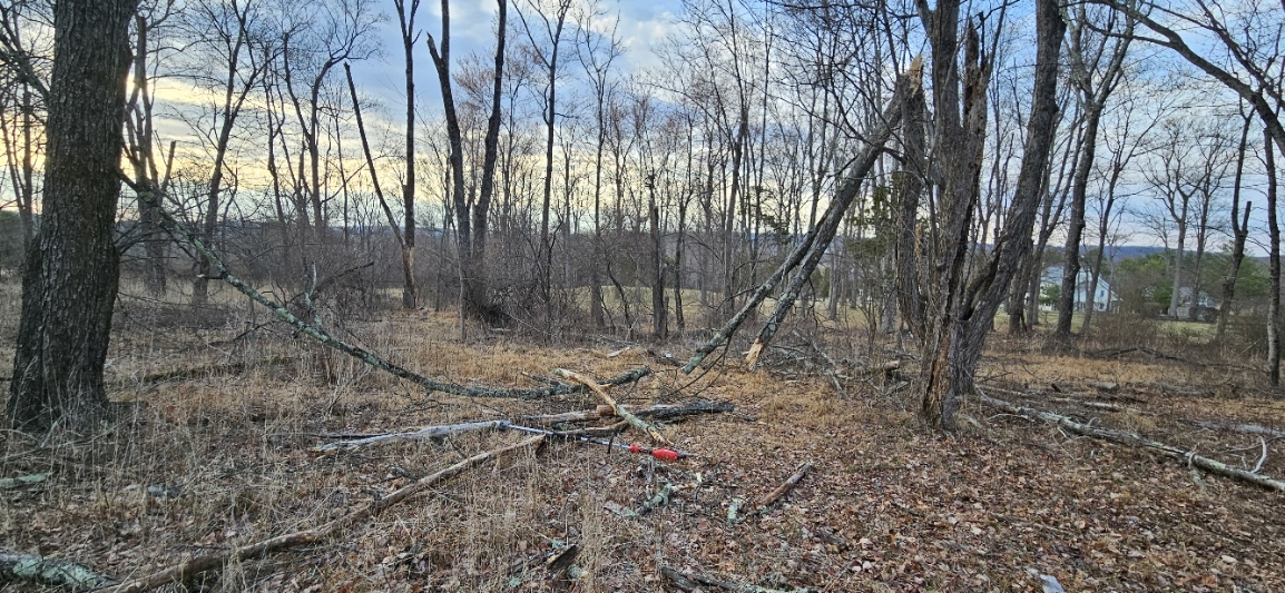 20250320_173831.jpg