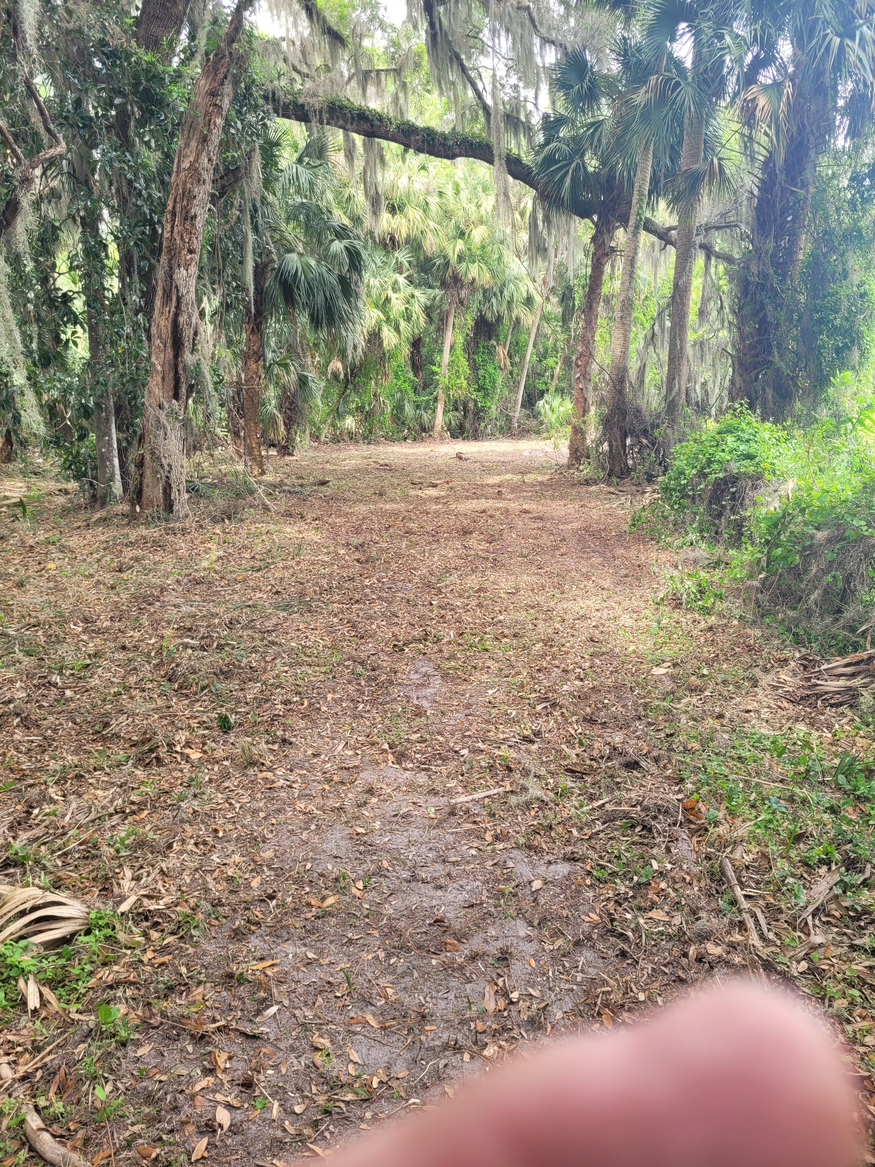 20250401_130503.jpg