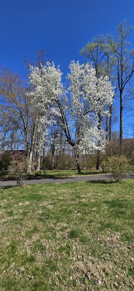 20250409_112200.jpg