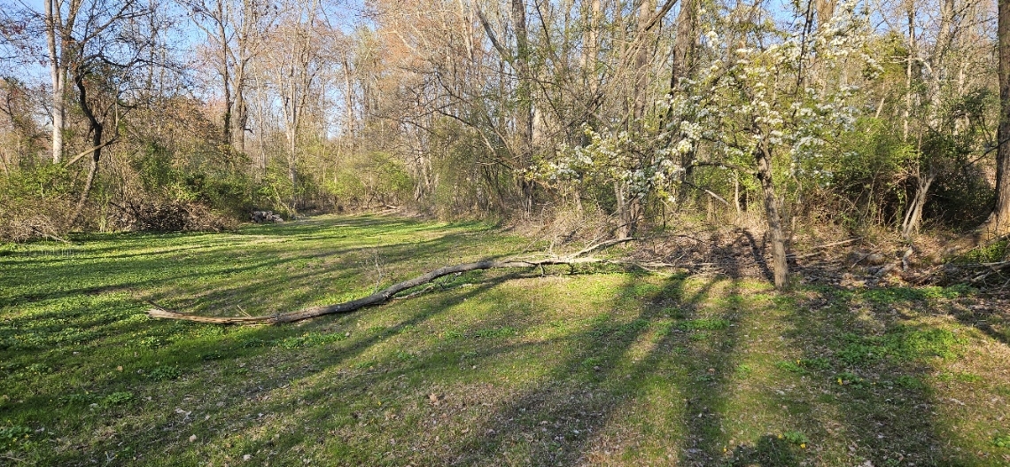 20250417_180025.jpg