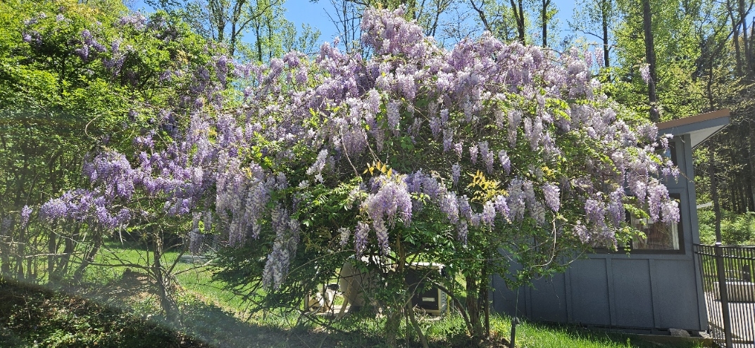 20250428_144611.jpg