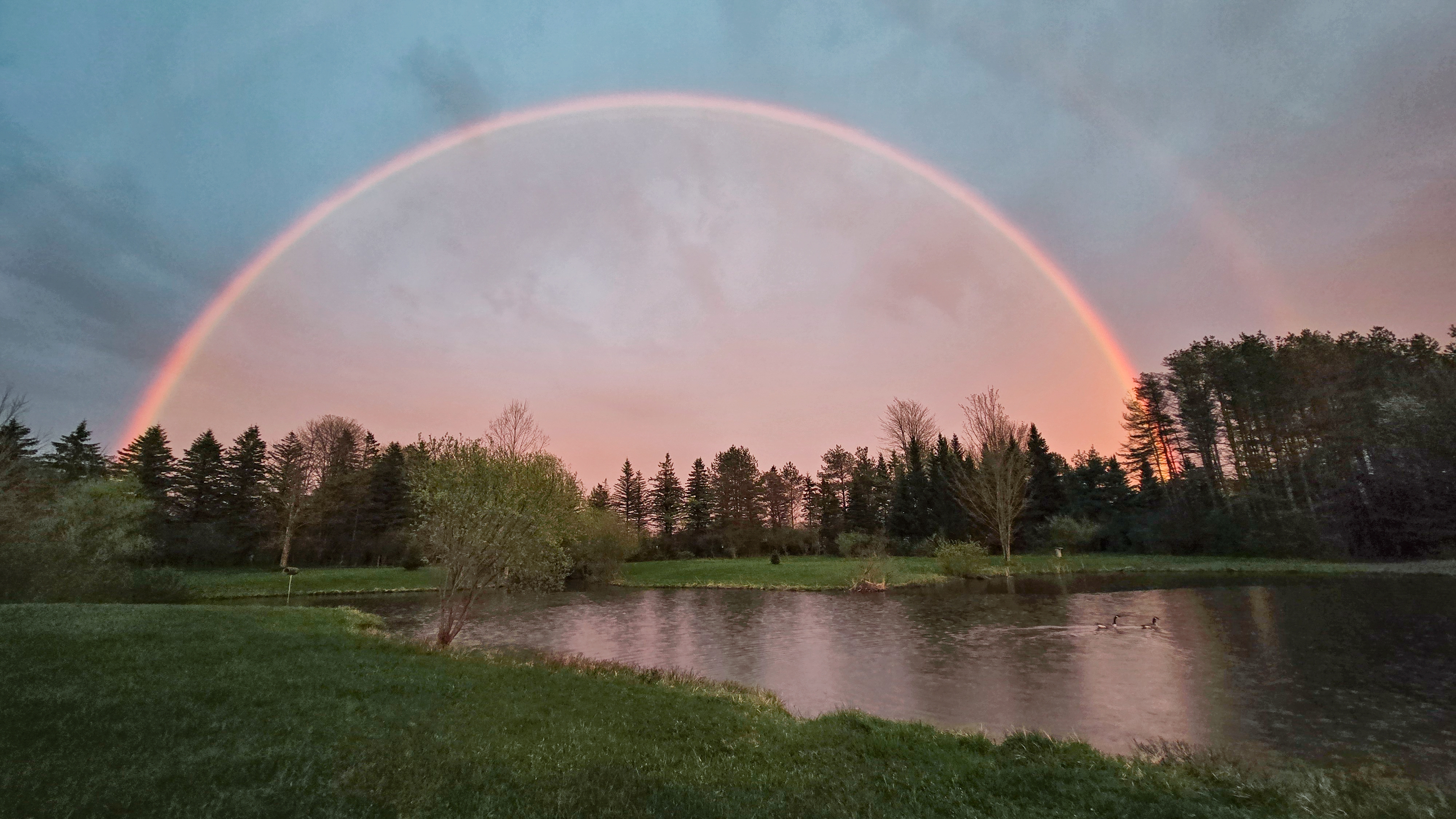 20250506_201640 rainbow.jpg