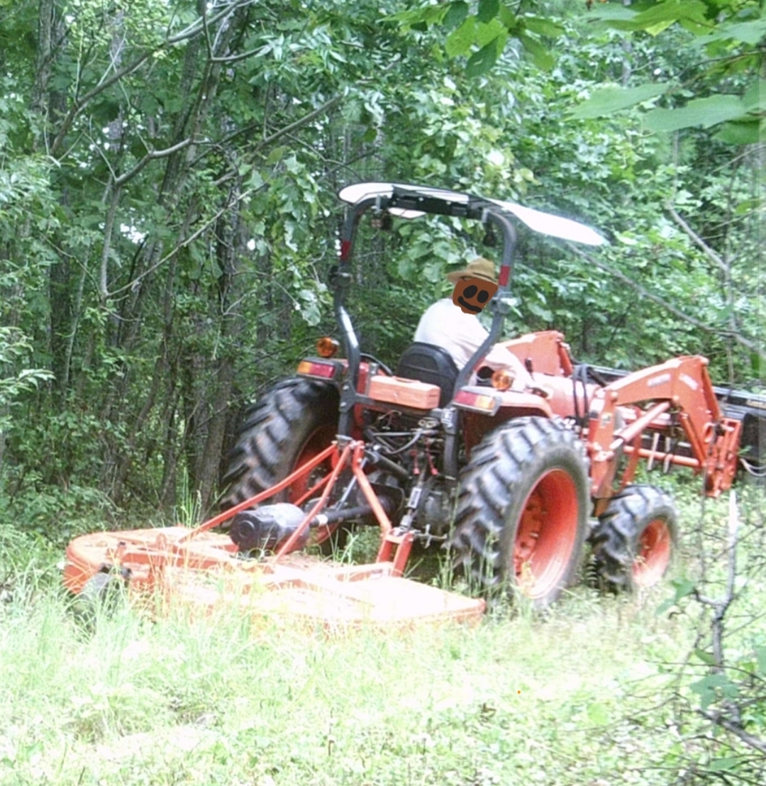 20250509_214608.jpg
