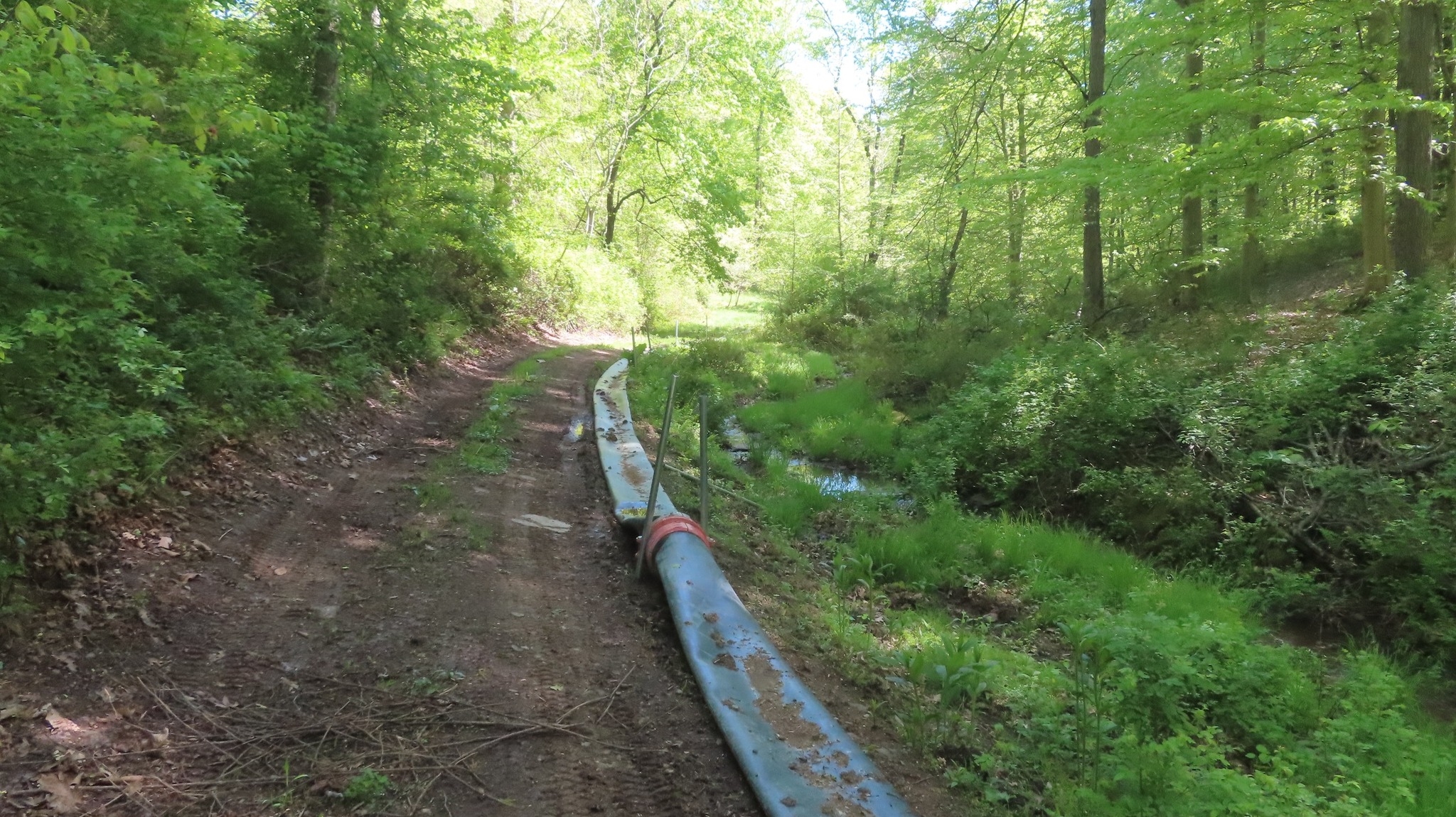 20250510_OH_farm_waterline_K2.jpg