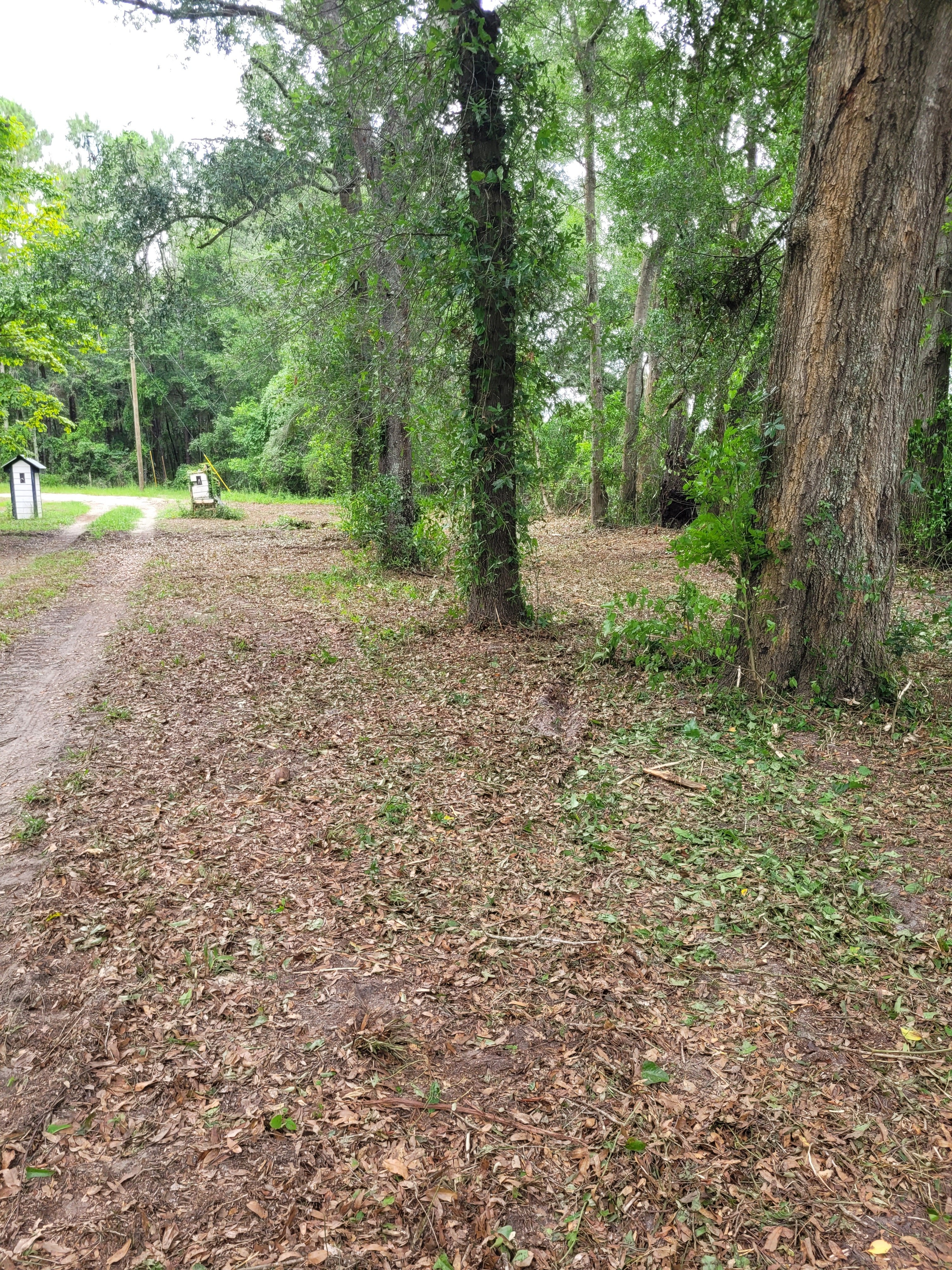 20250618_131845.jpg