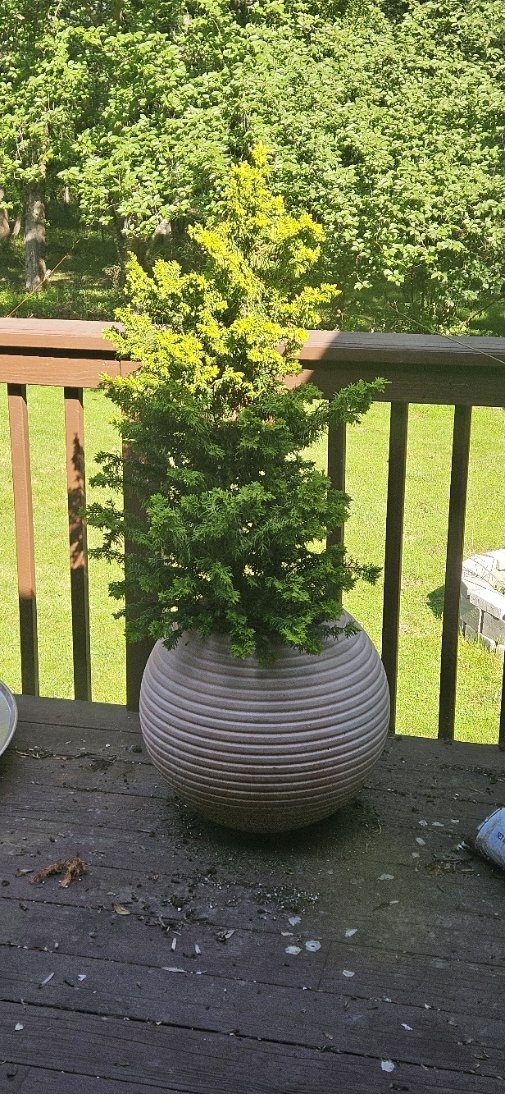 20250621_091750.jpg
