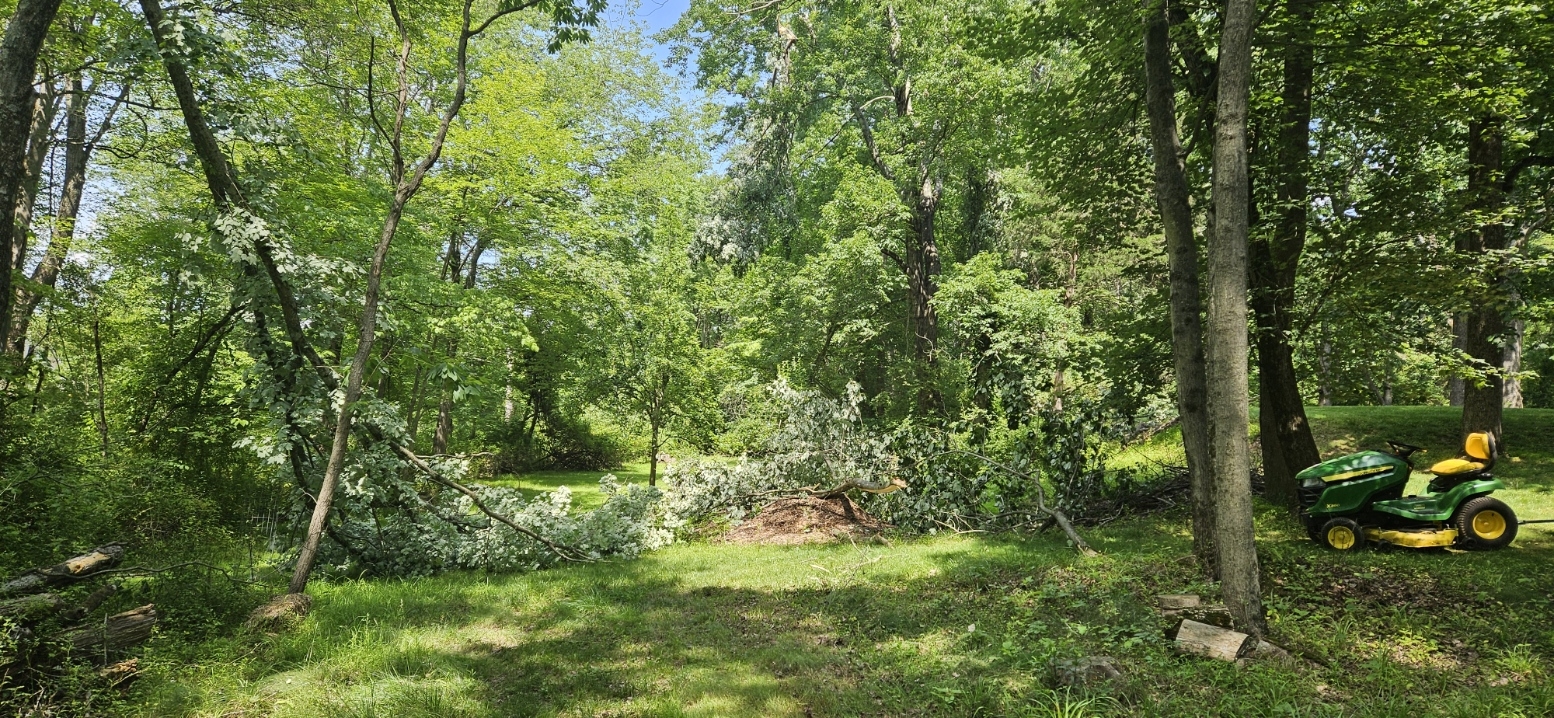 20250621_144409.jpg