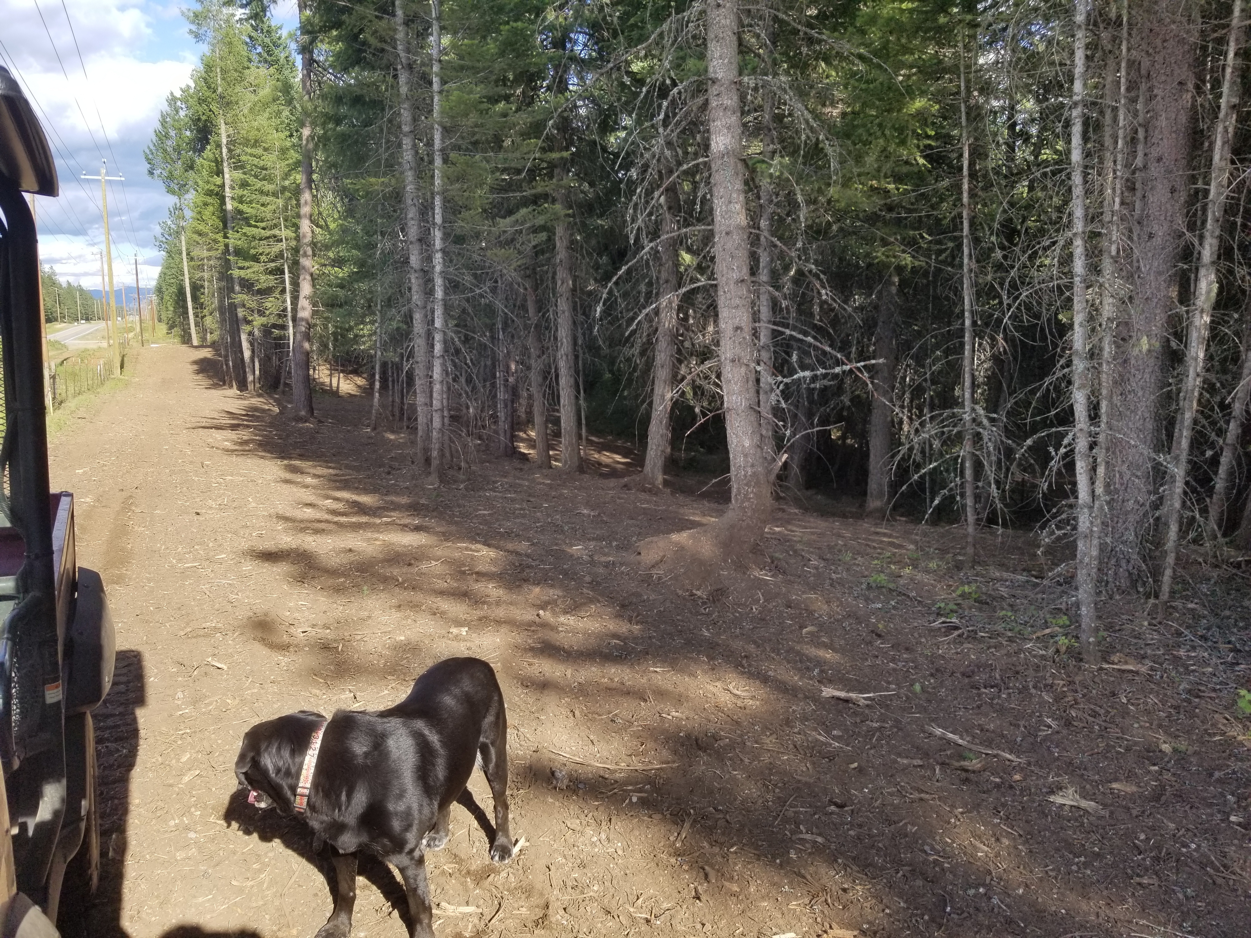 20250628_171927.jpeg