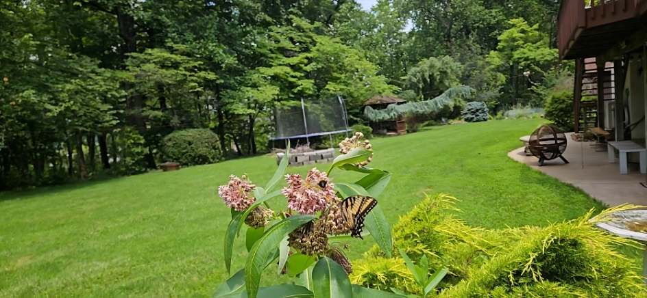 20250701_124411.jpg