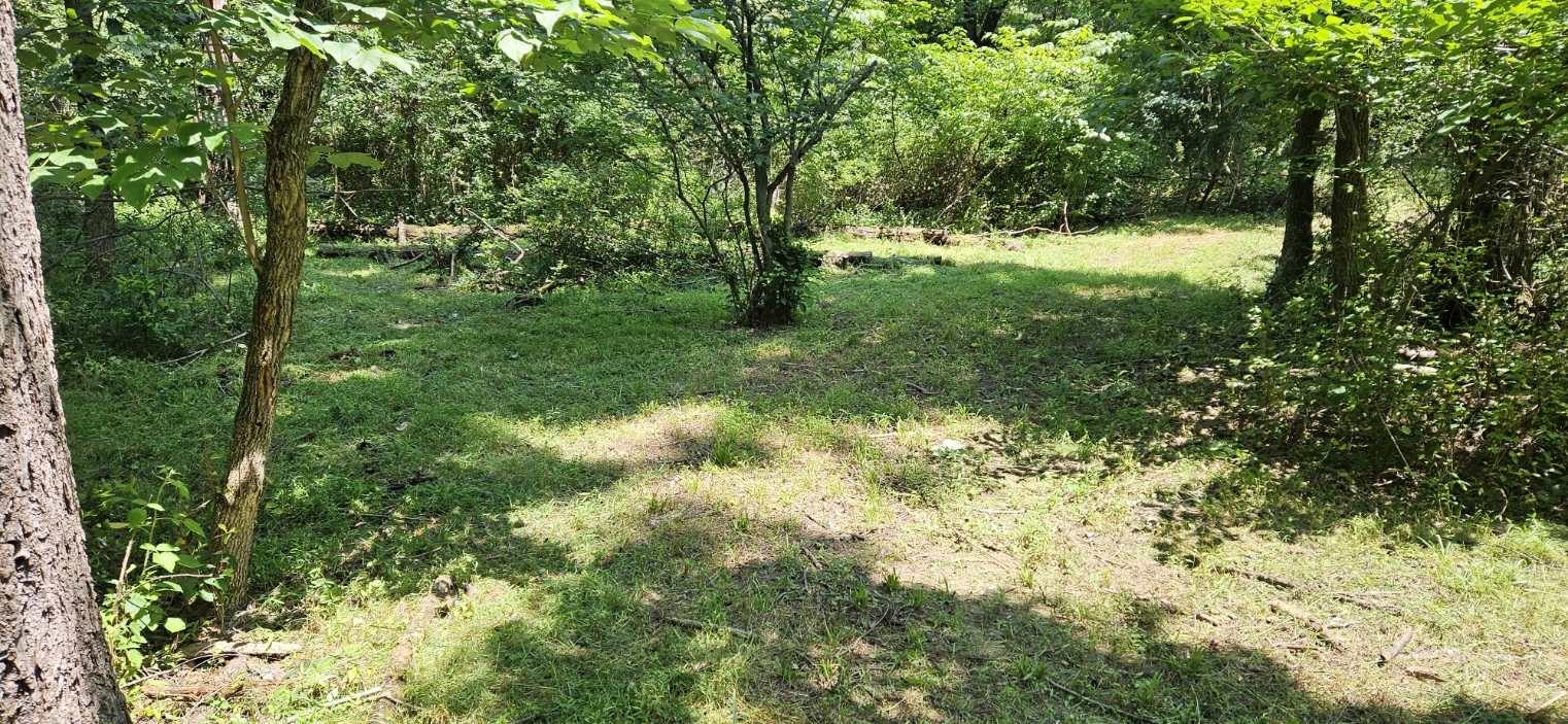 20250703_132406.jpg
