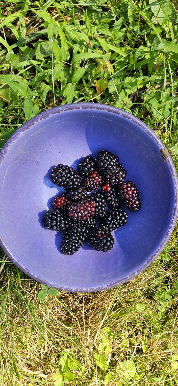 20250708_111013.jpg