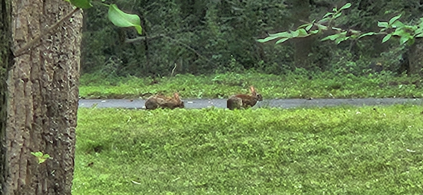 20250709_073405.jpg
