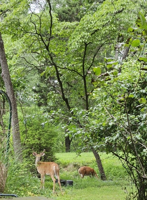 20250723_130327[1].jpg