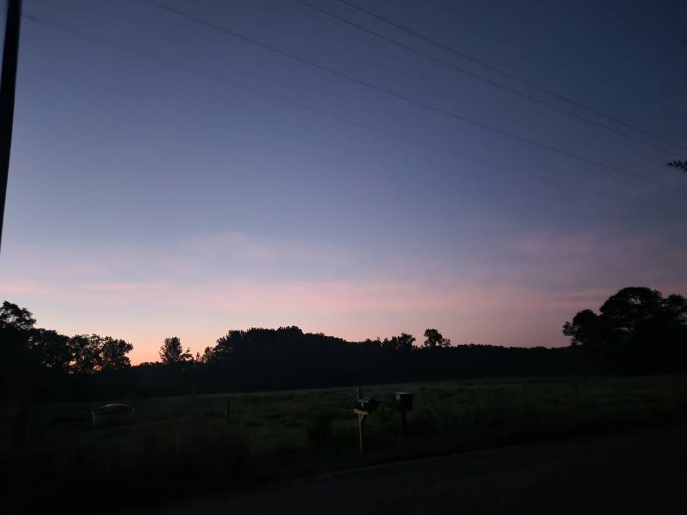 20250725_053538.jpg