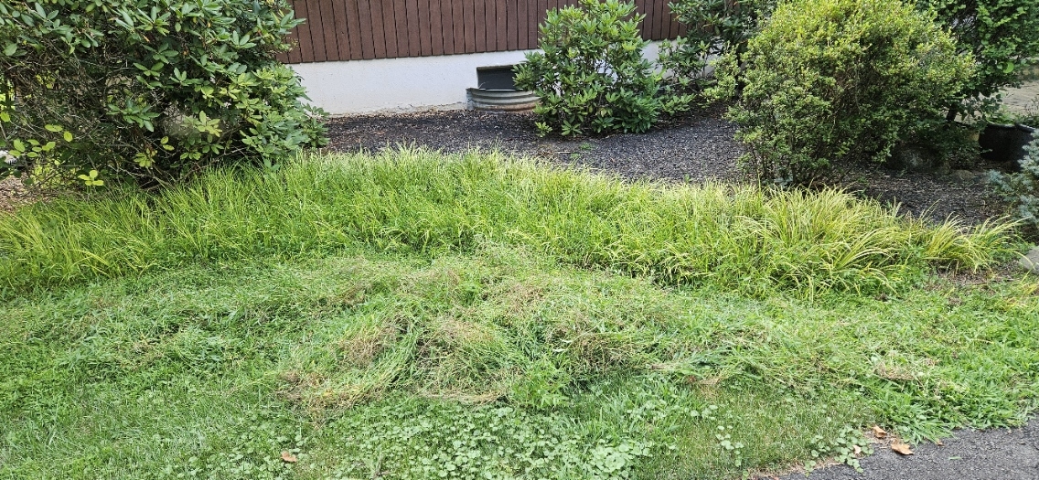 20250730_174014.jpg