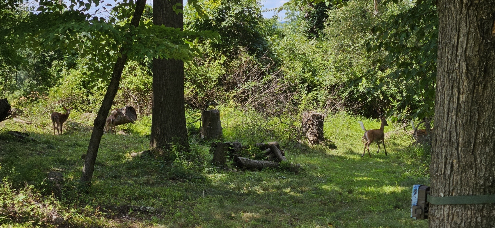 20250802_122906.jpg