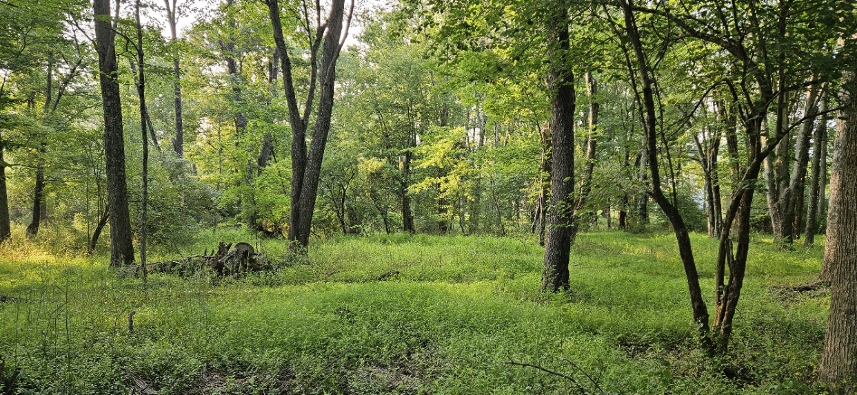 20250807_183425.jpg