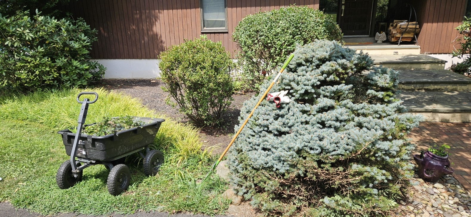 20250817_115954.jpg