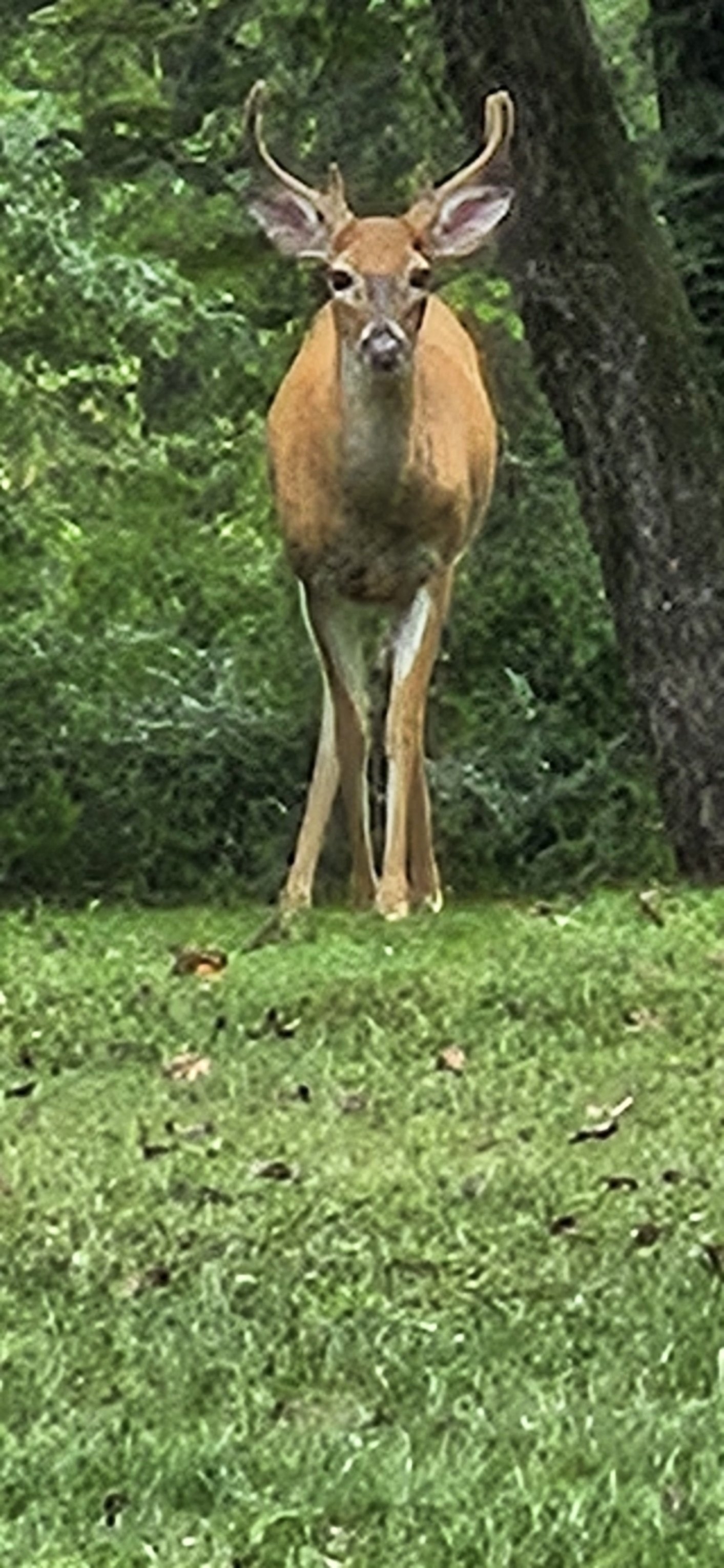 20250821_121814.jpg