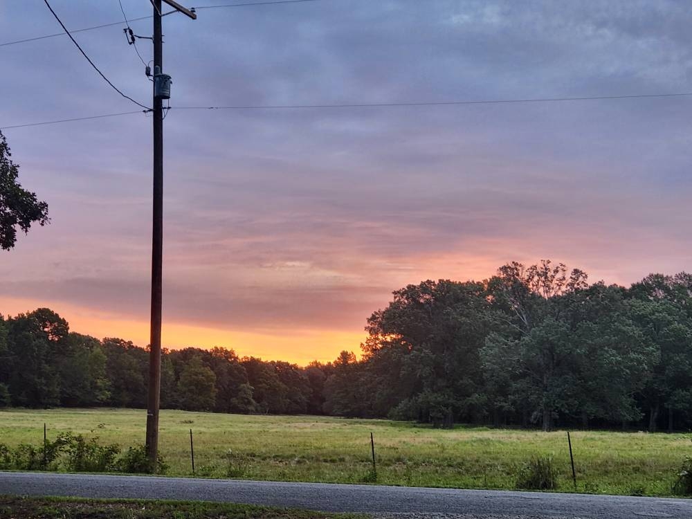 20250831_065030.jpg