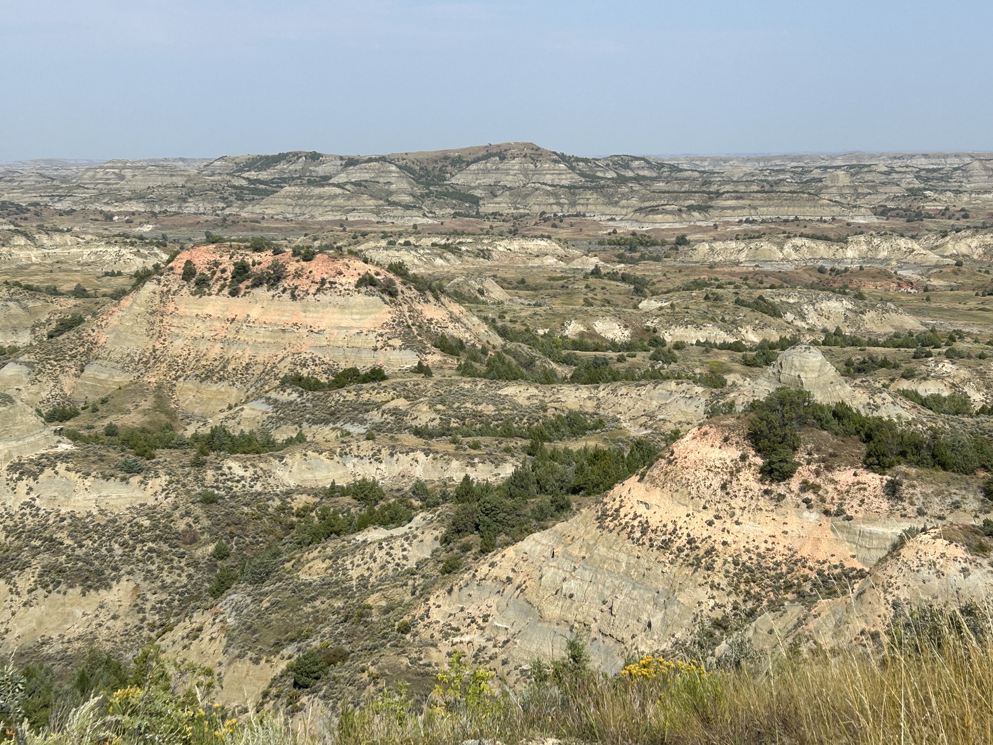 20250910_115515__vac_ND_TRooseveltNP_PaintedCanyon.JPG