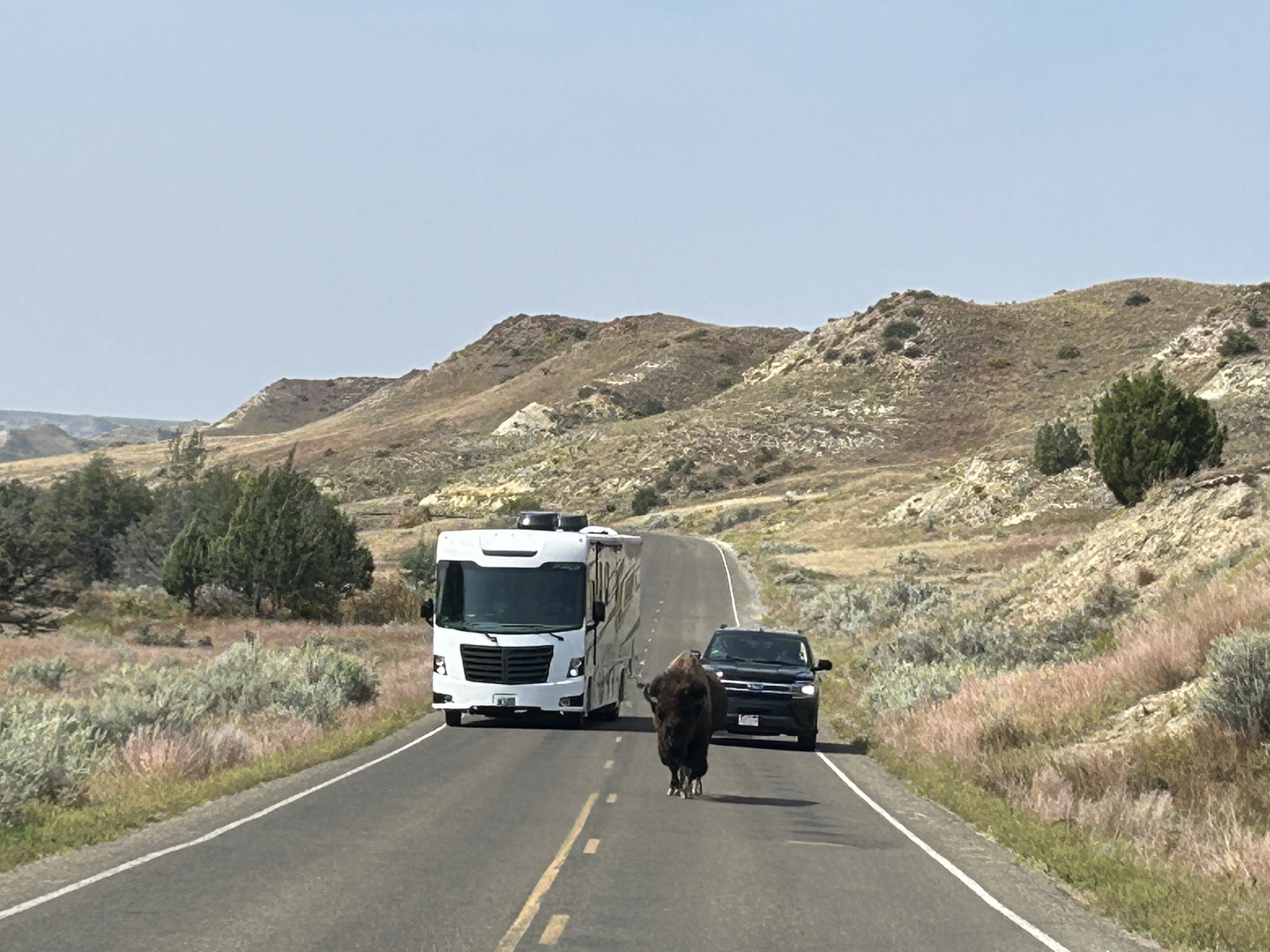 20250910_131907__vac_ND_TRooseveltNP_.JPG