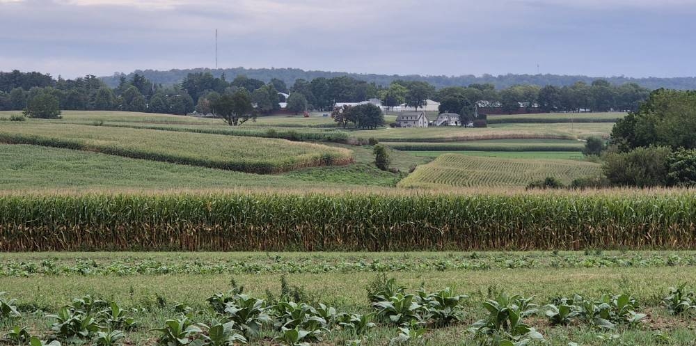 20250916_165515.jpg