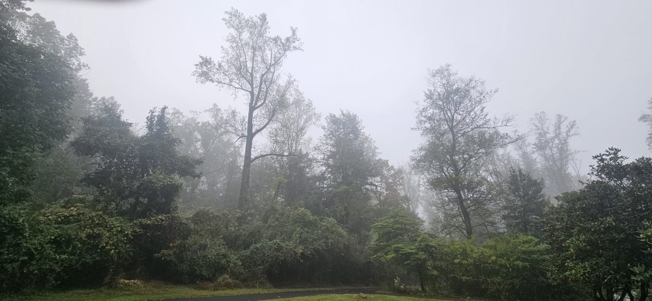 20250924_073413.jpg