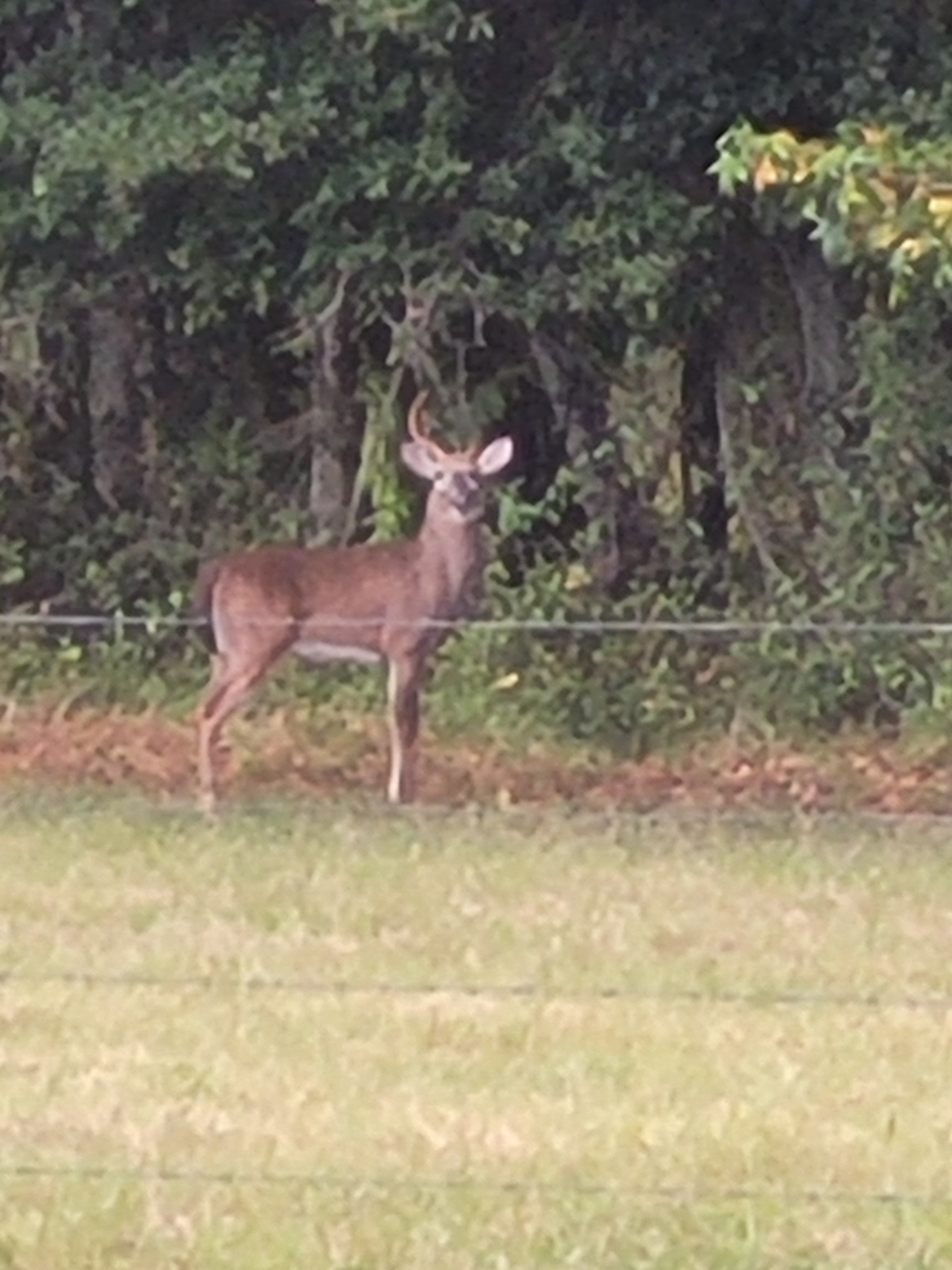 20250925_190622.jpg