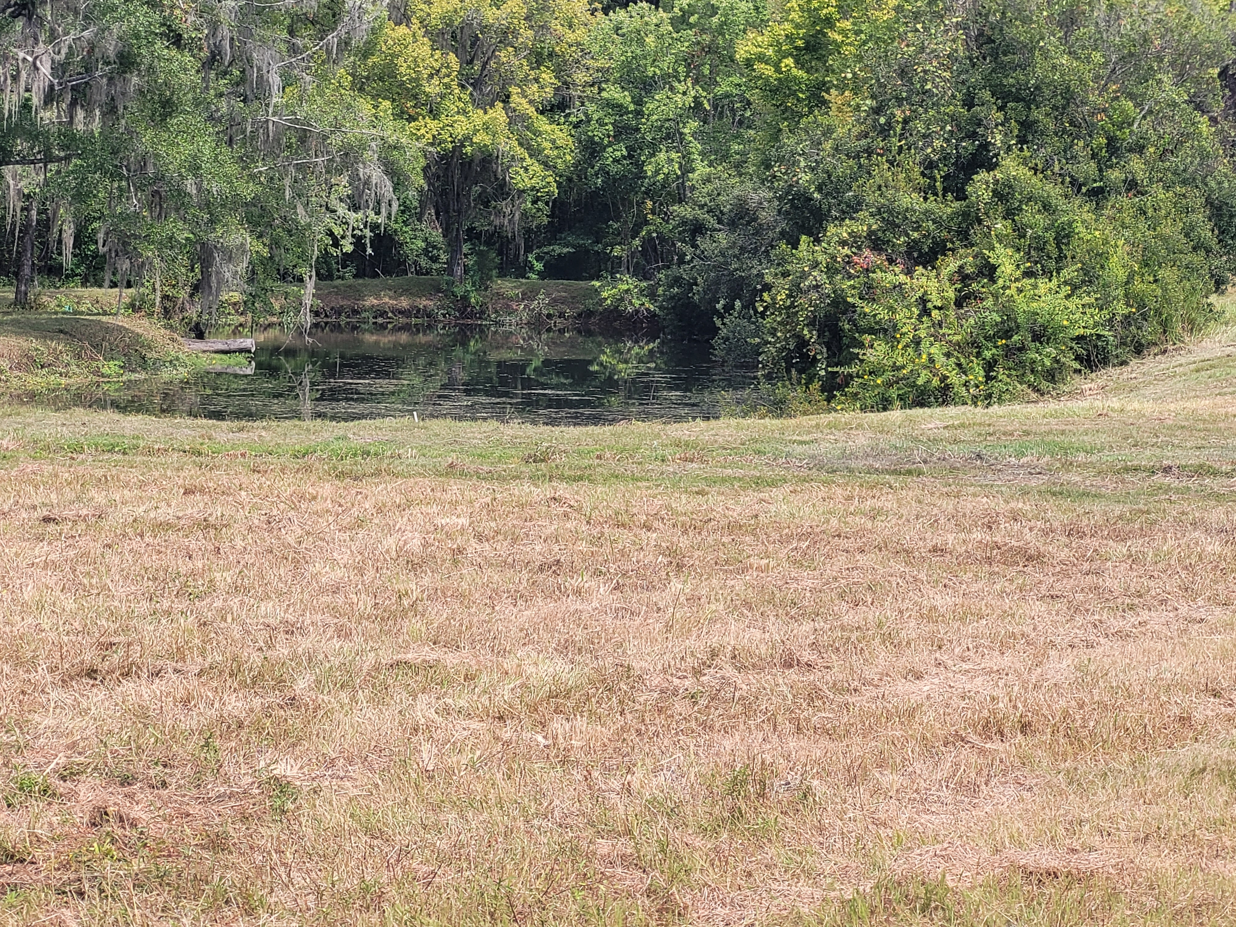 20250926_121617.jpg