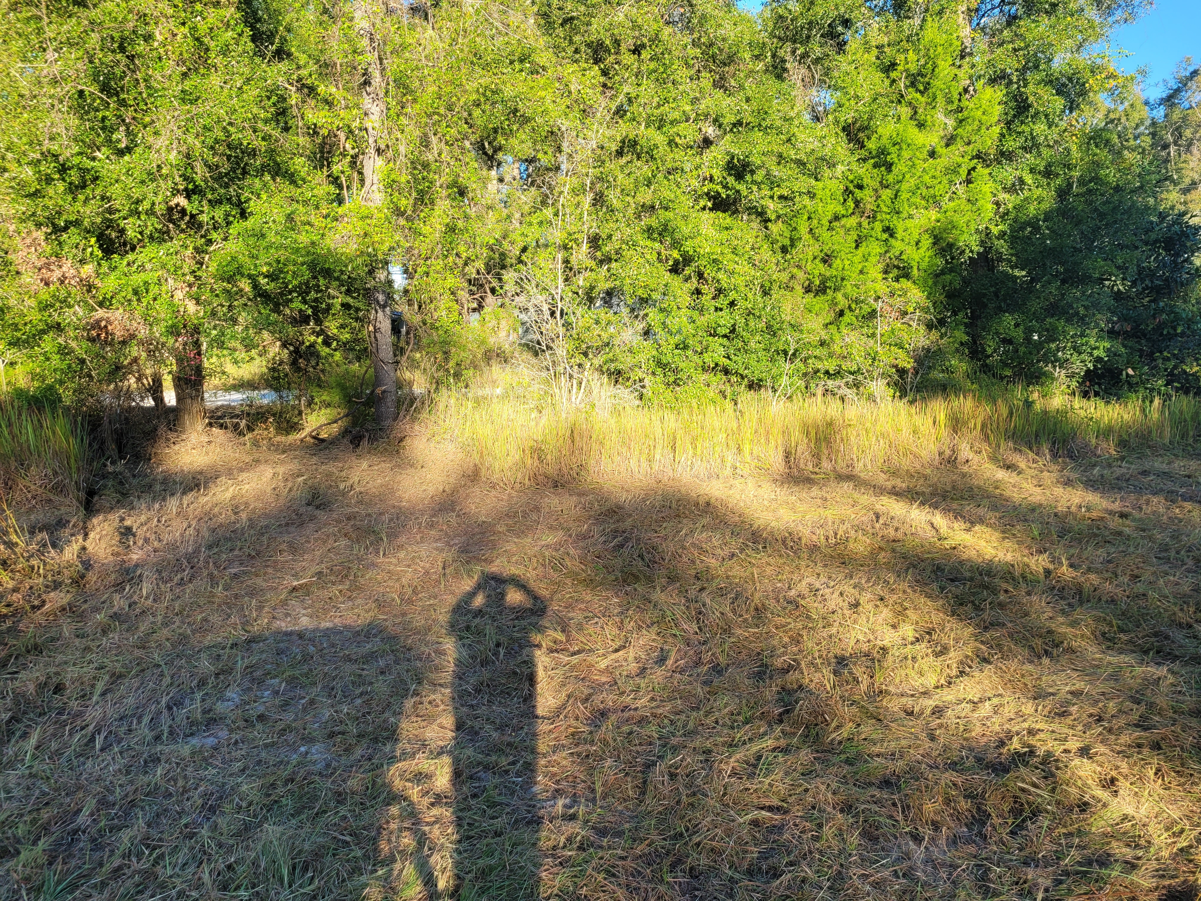 20251016_084920.jpg