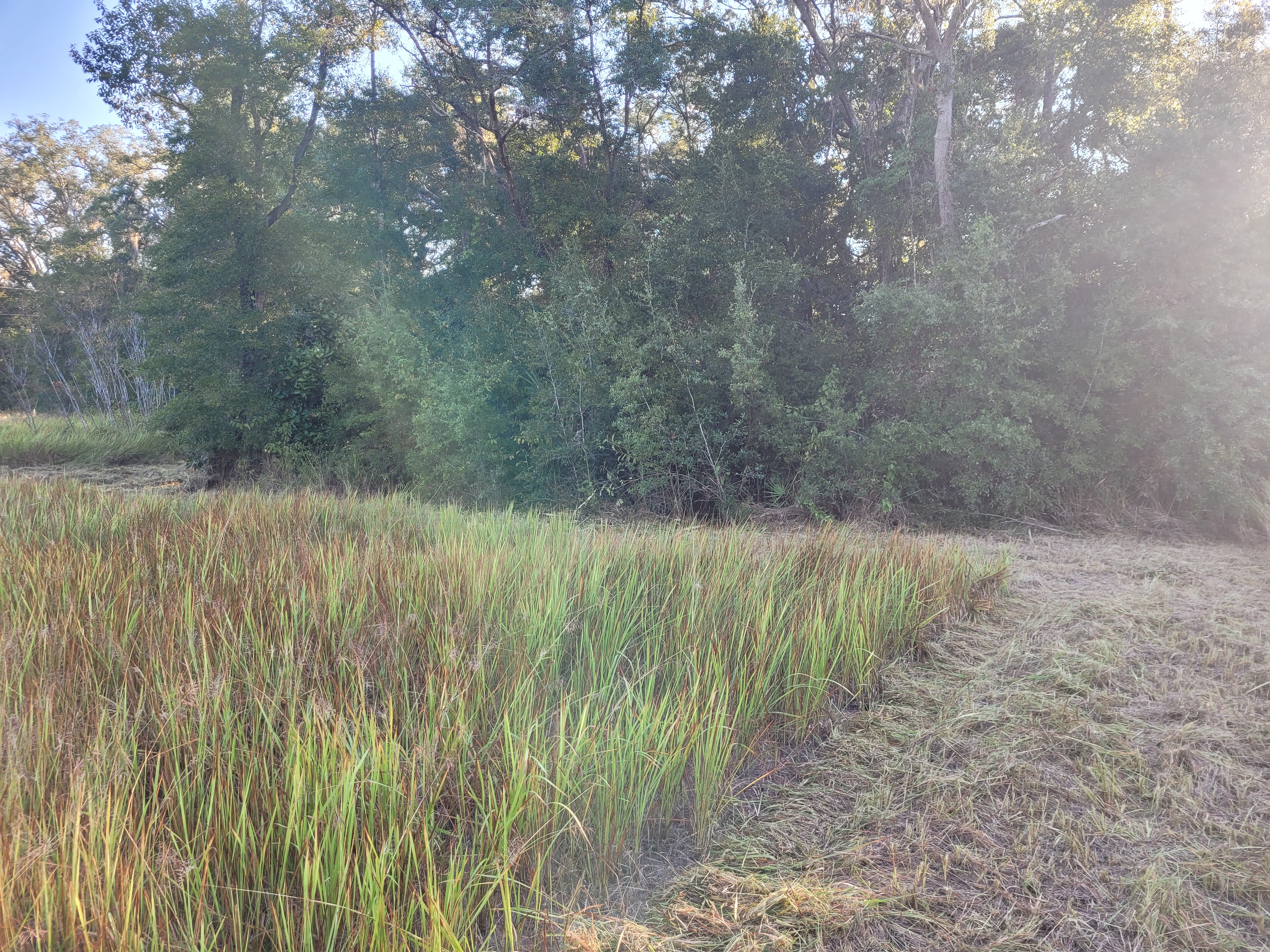 20251016_084925.jpg