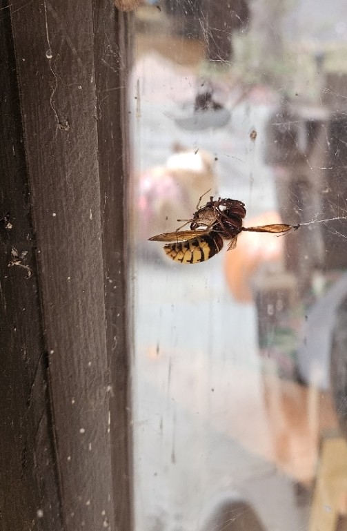 20251020_121239[1].jpg