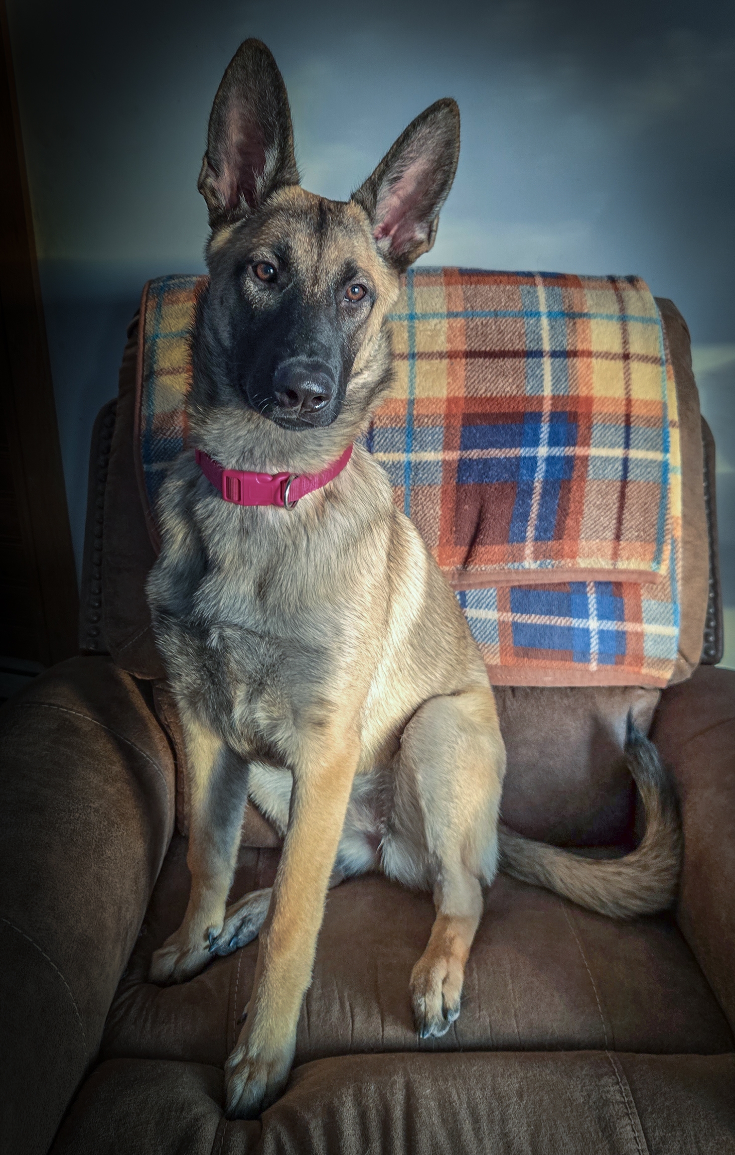 20251208_161021 Dax small.jpg