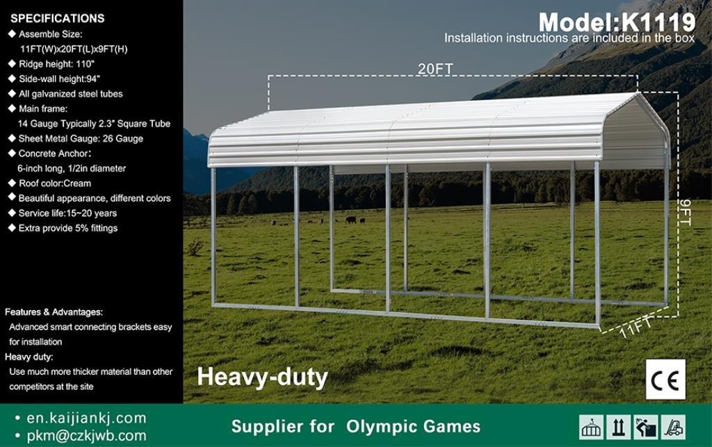 2025 K1119 UNUSED Metal Carport (A53117)