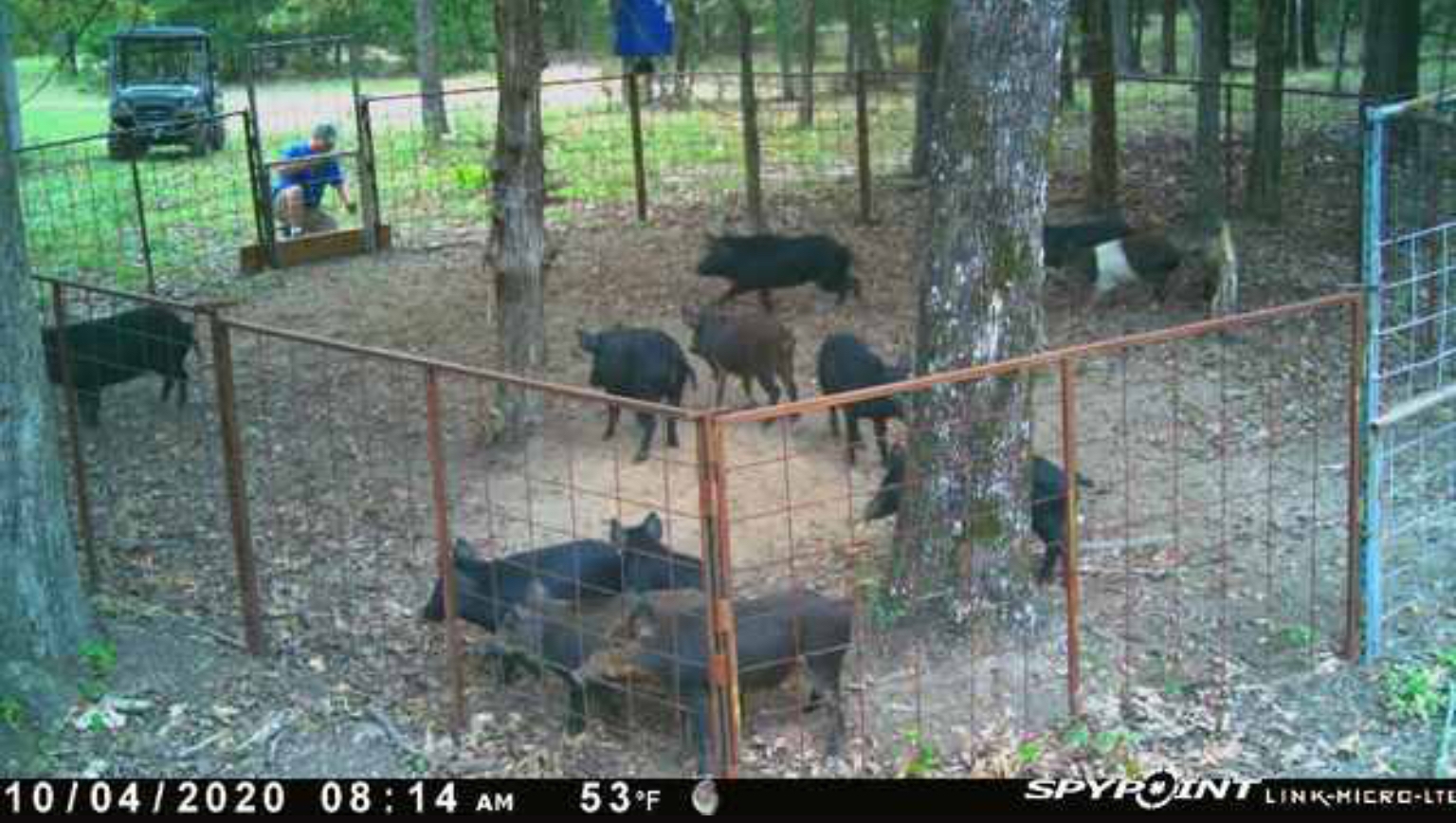 226D8D90-2F7C-487E-B3B5-9A7B5C668854.jpeg 226D8D90-2F7C-487E-B3B5-9A7B5C668854.jpeg