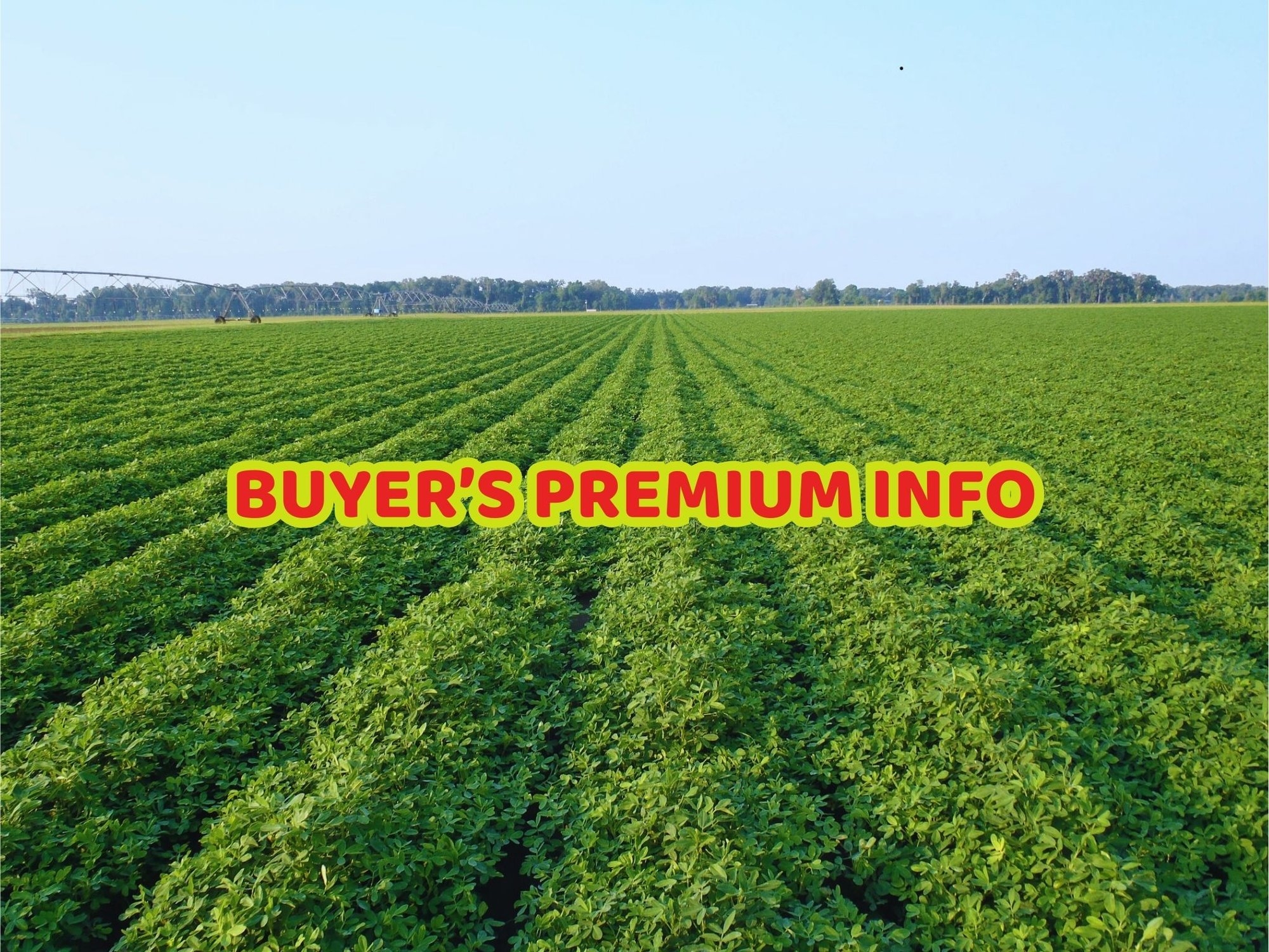 BUYER'S PREMIUM INFO LOT NUMBER 2 (A53084)