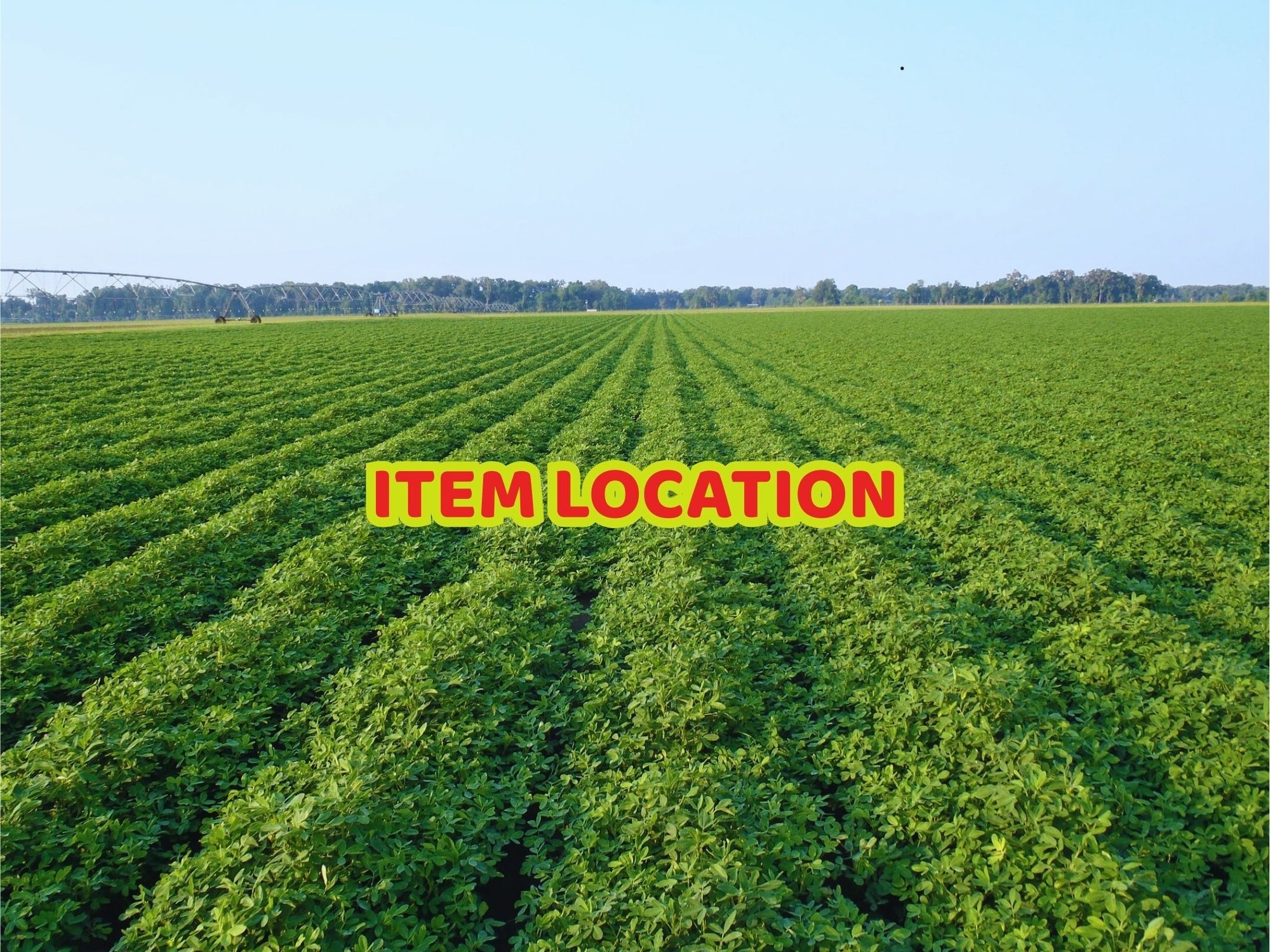 ITEM LOCATION LOT NUMBER 3 (A53084)