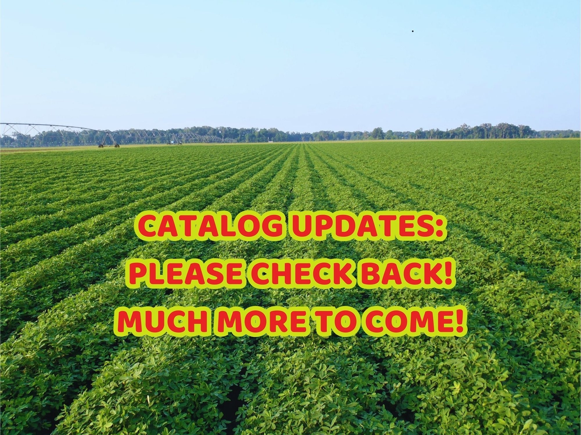 CATALOG UPDATES LOT NUMBER 5 (A53084)