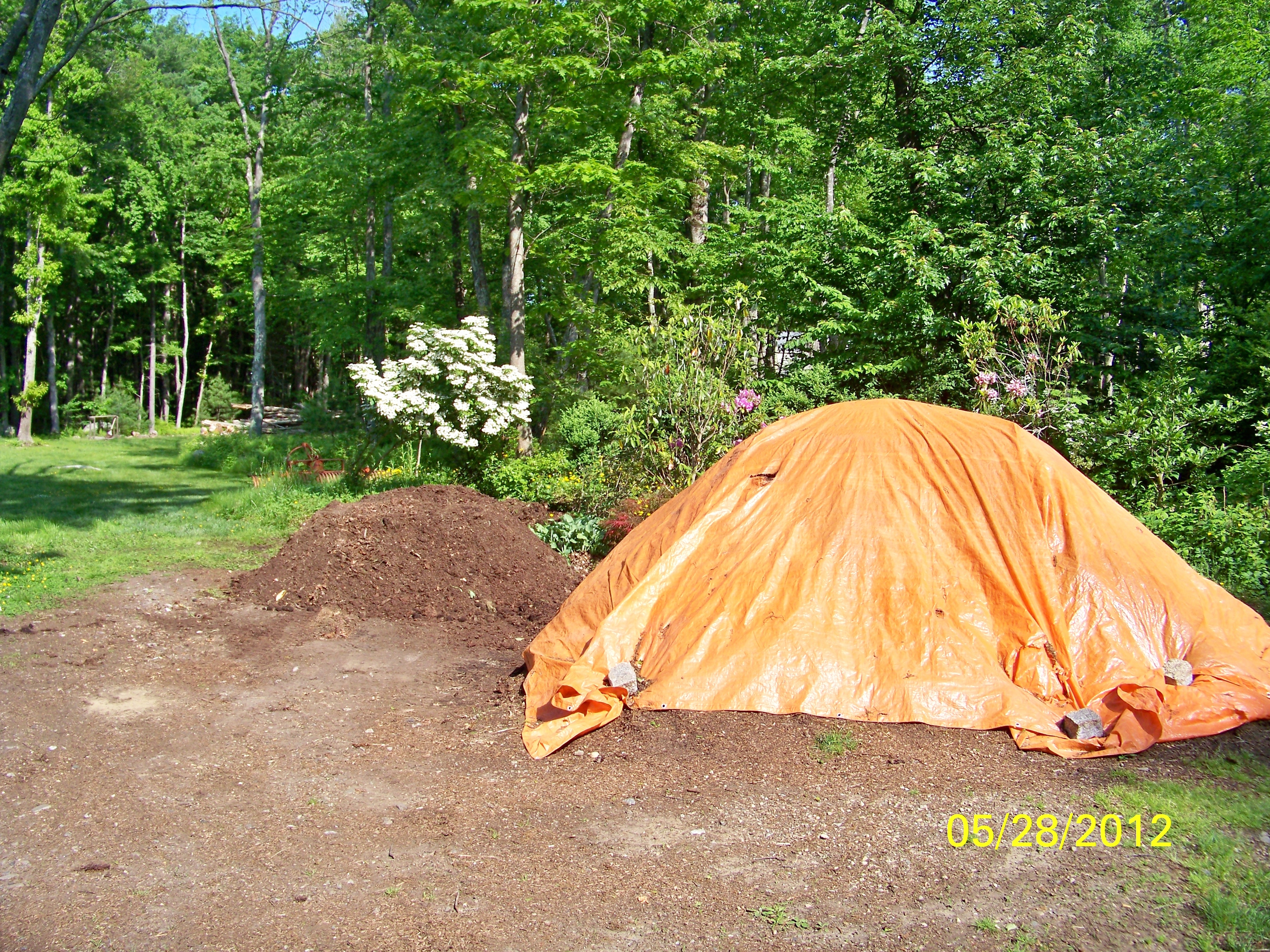 238 Woodland May 28 2012 2012-05-28 046.JPG