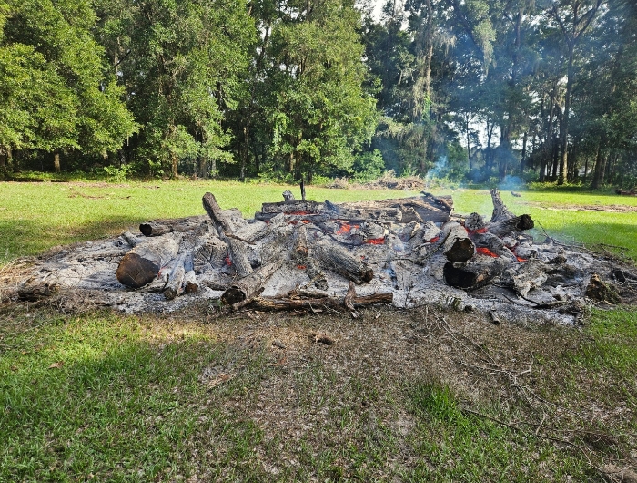 25 07 25 burn pile in small pasture small.jpg