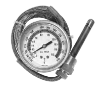 298.02056.56.gif