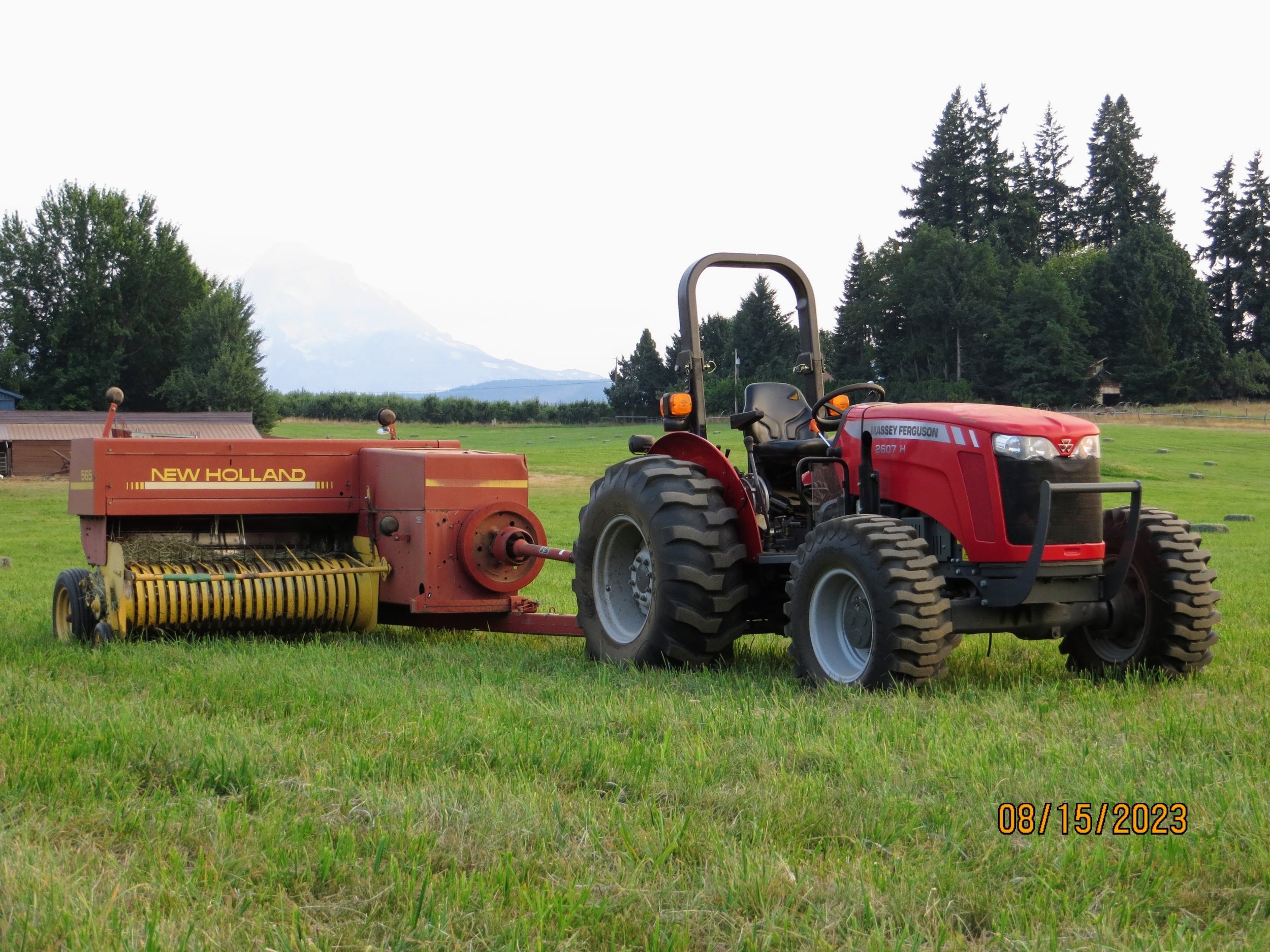 2nd cutting 002.JPG