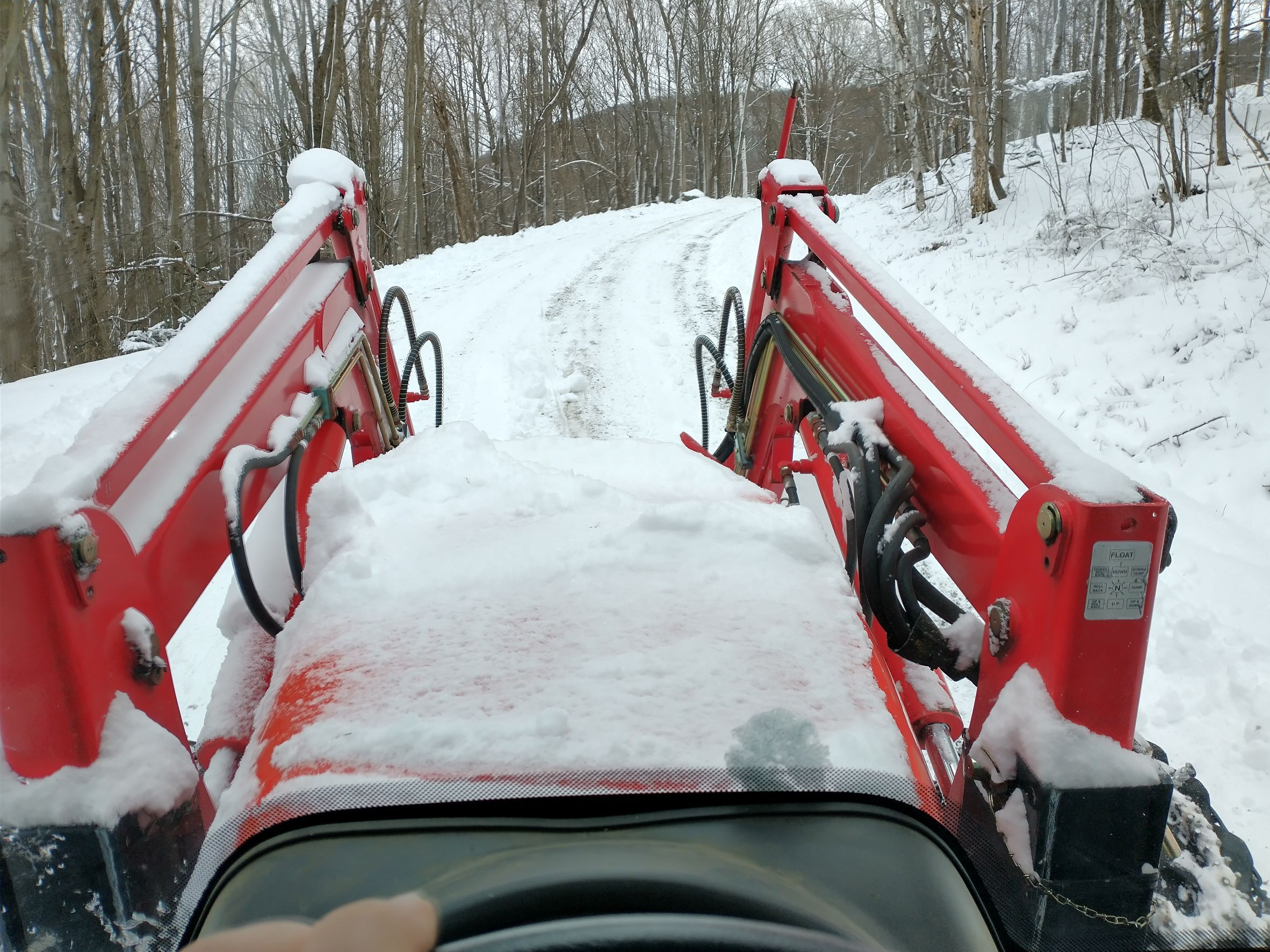 3-13-22 driveway.jpg